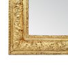 antique-gilt-wood-frame-mirror-french-style-circa-1900