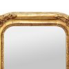 romantic-giltwood-mirror- decor-of-flowers-and-foliages-circa-1830